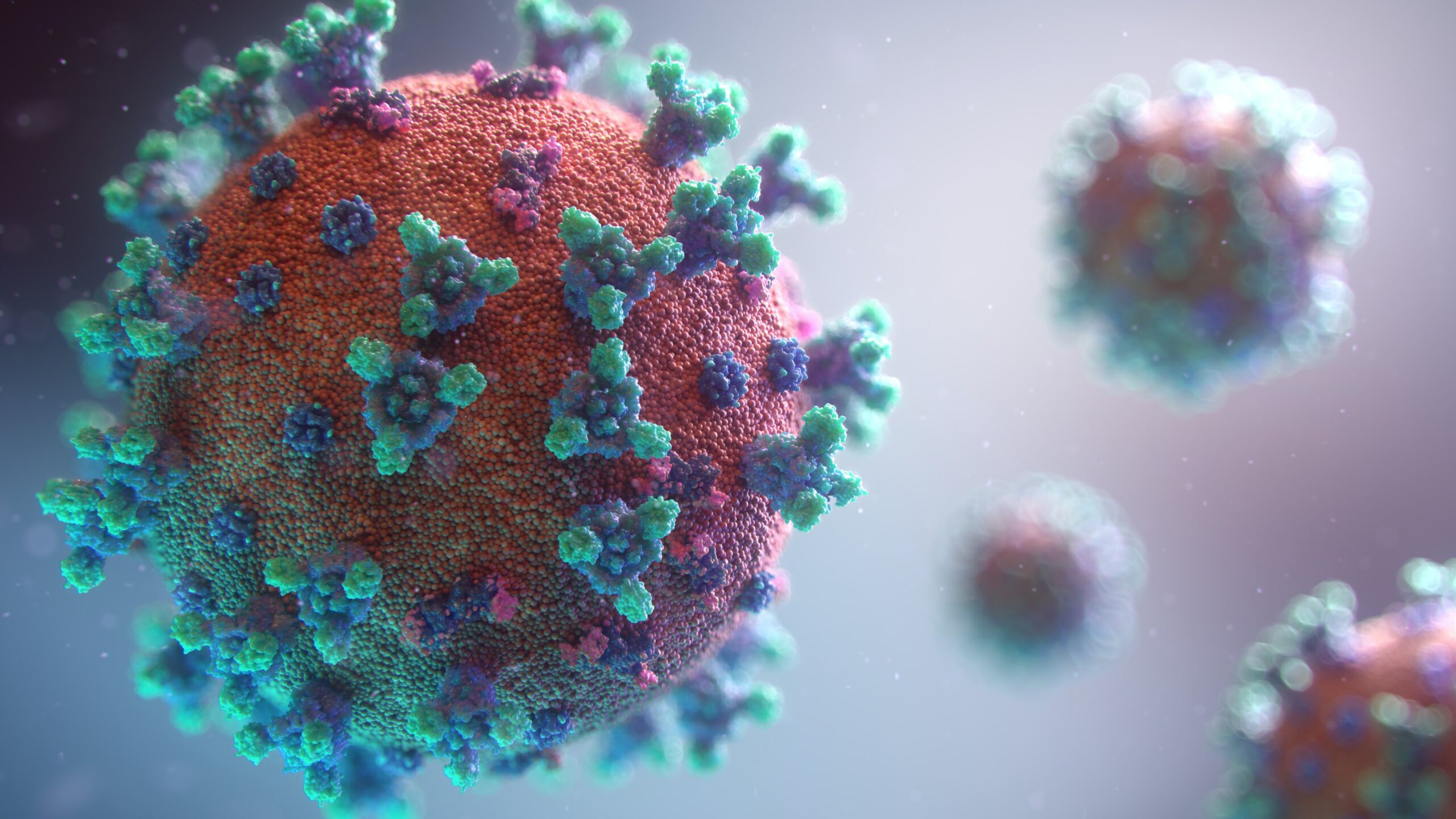 graphic depicting the covid-19 virus